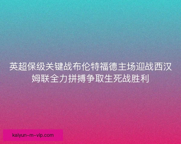英超保级关键战布伦特福德主场迎战西汉姆联全力拼搏争取生死战胜利 英超保级关键战布伦特福德主场迎战西汉姆联全力拼搏争取生死战胜利